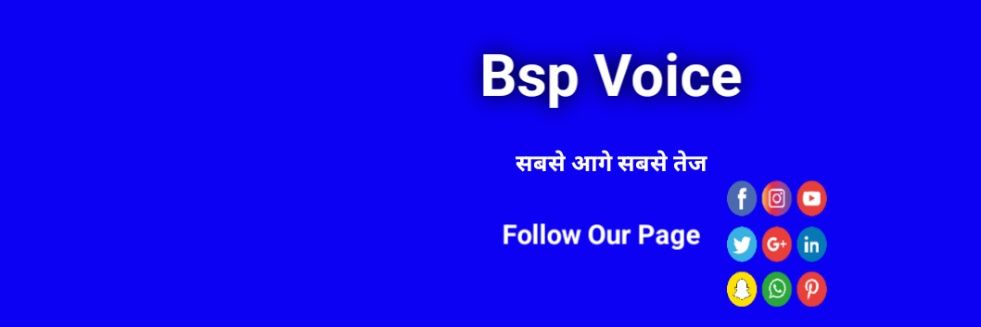 Bsp Voice banner
