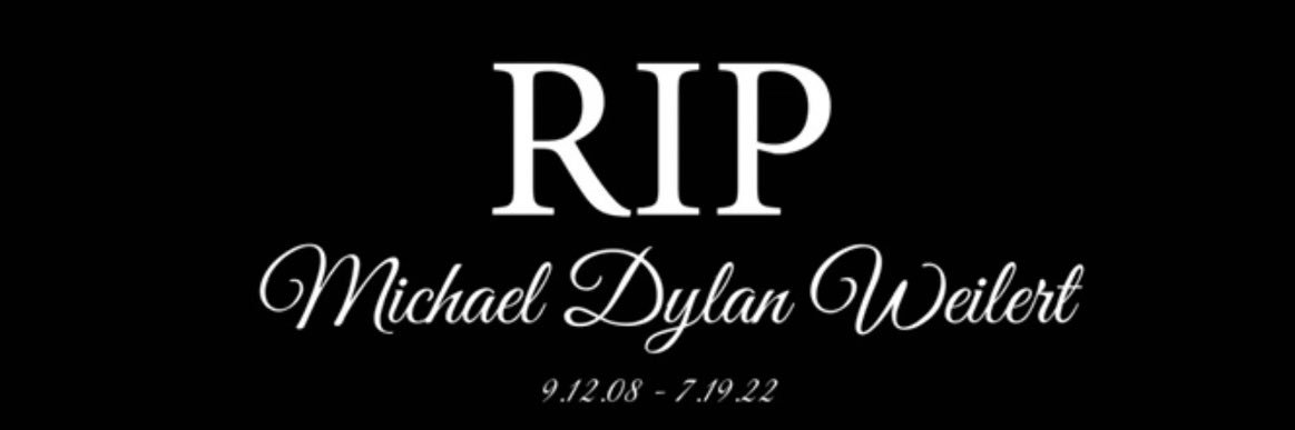 Amber Weilert - Michael's Mom banner
