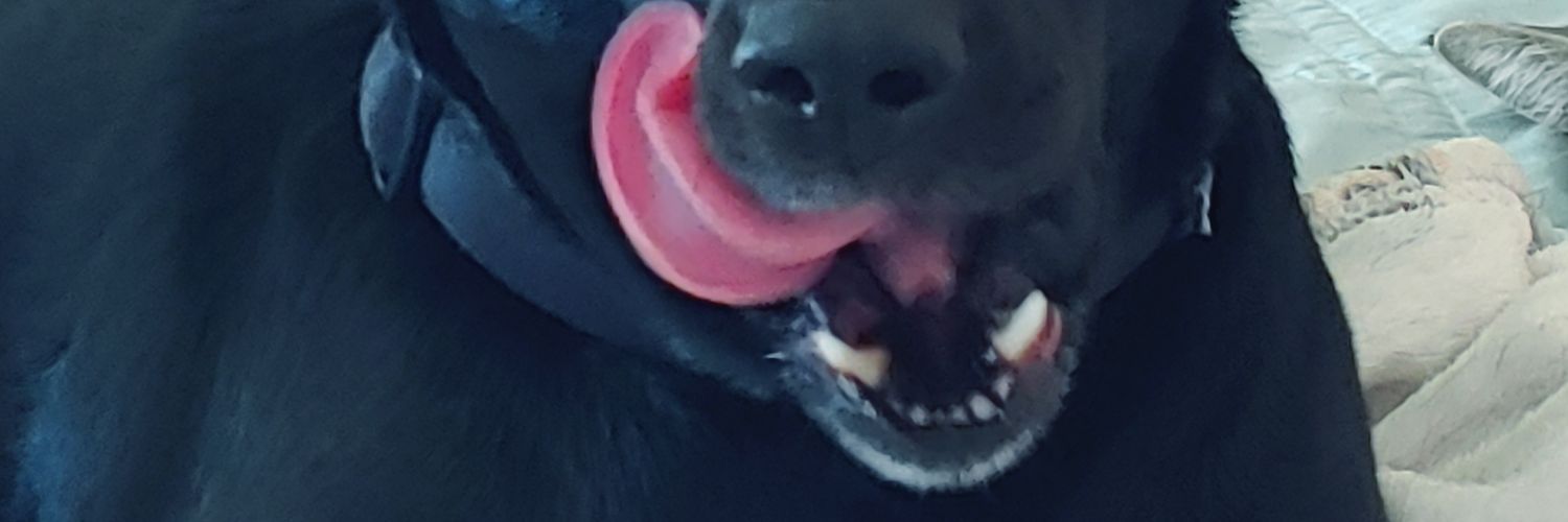 treesatreesa's profile banner image