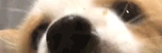 AnpanmanHERRO's profile banner image