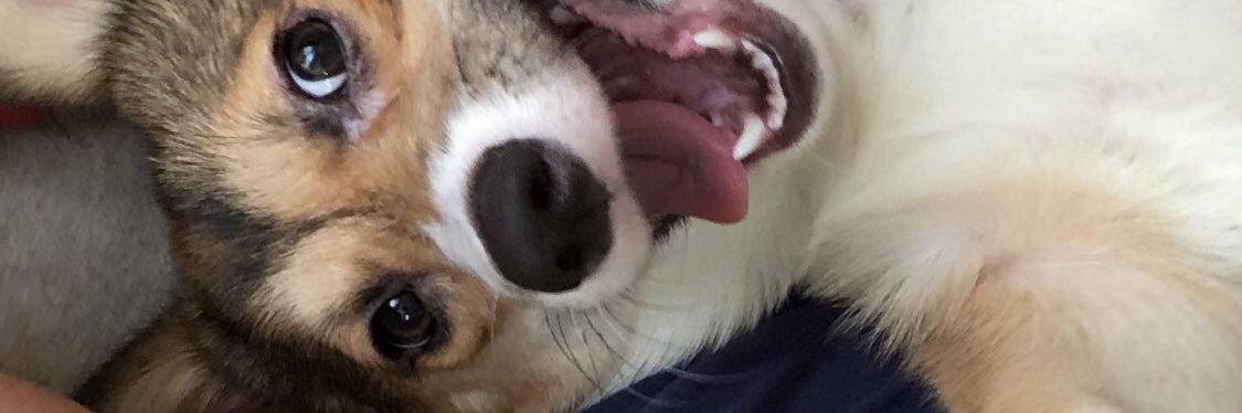 fqHt___'s profile banner image