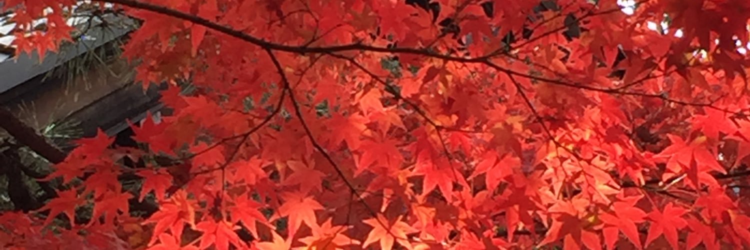 degashi's profile banner image