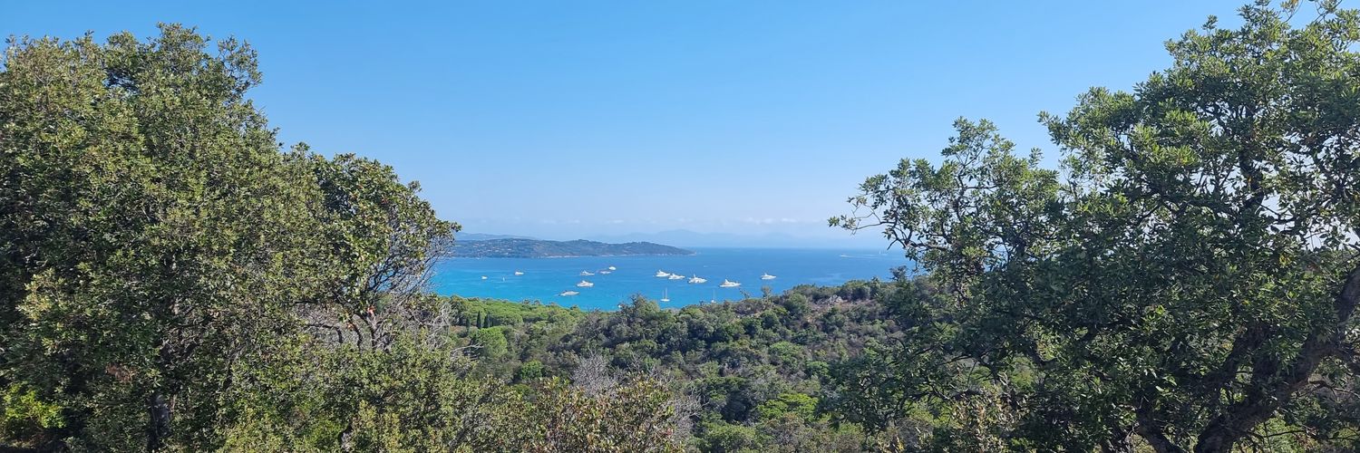 Ged Rae 🏳️‍🌈 banner