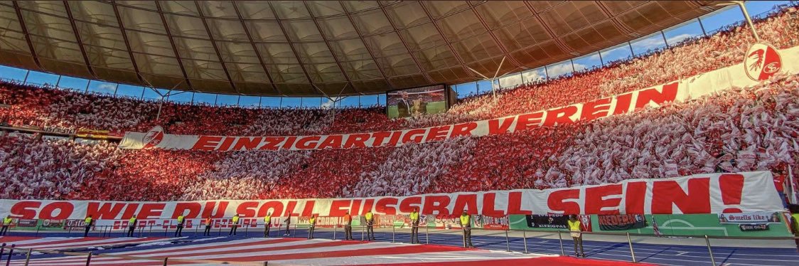 hoizes banner
