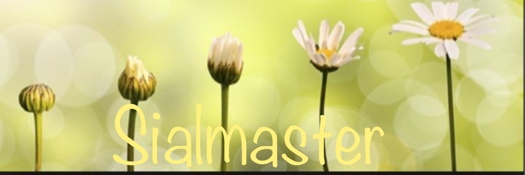 SIALMASTER banner