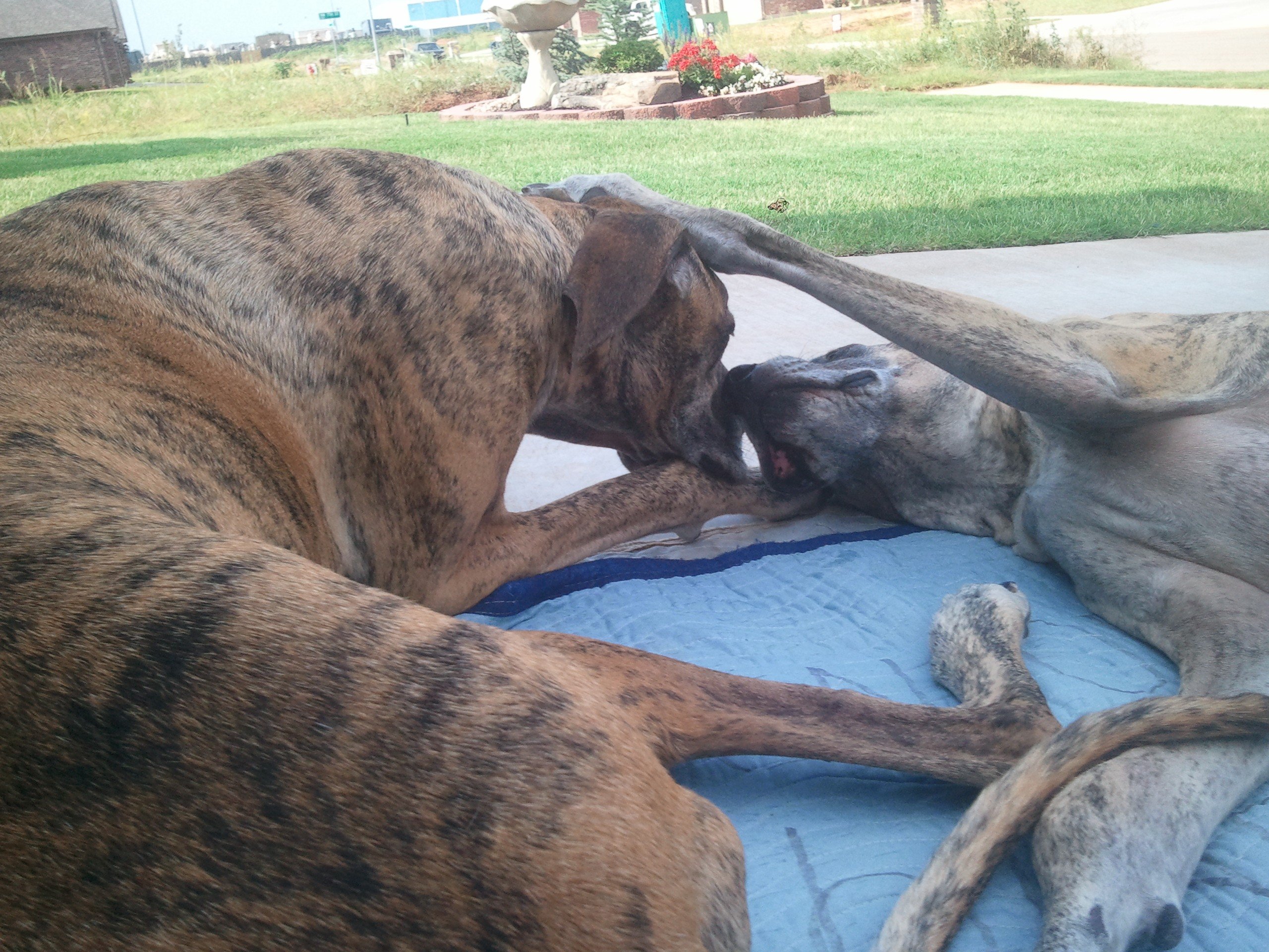 Andrew Kortright banner