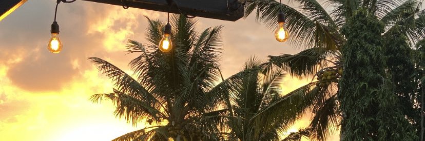 LamaHQ's profile banner image