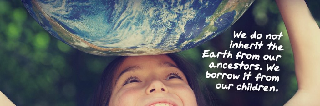 Roald Lapperre banner