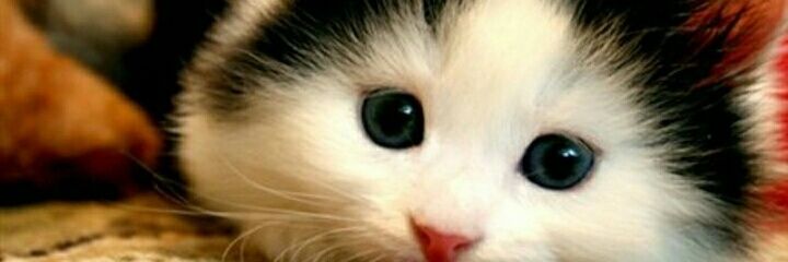 desiiiDR's profile banner image