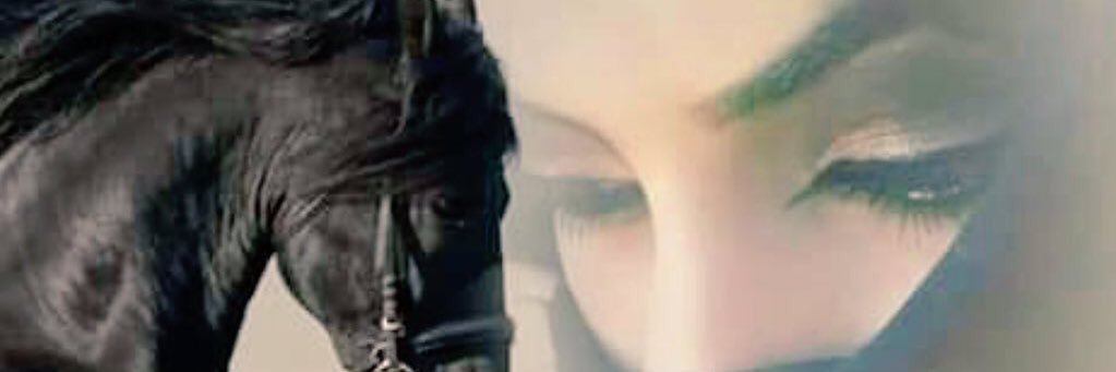 tuoor's profile banner image