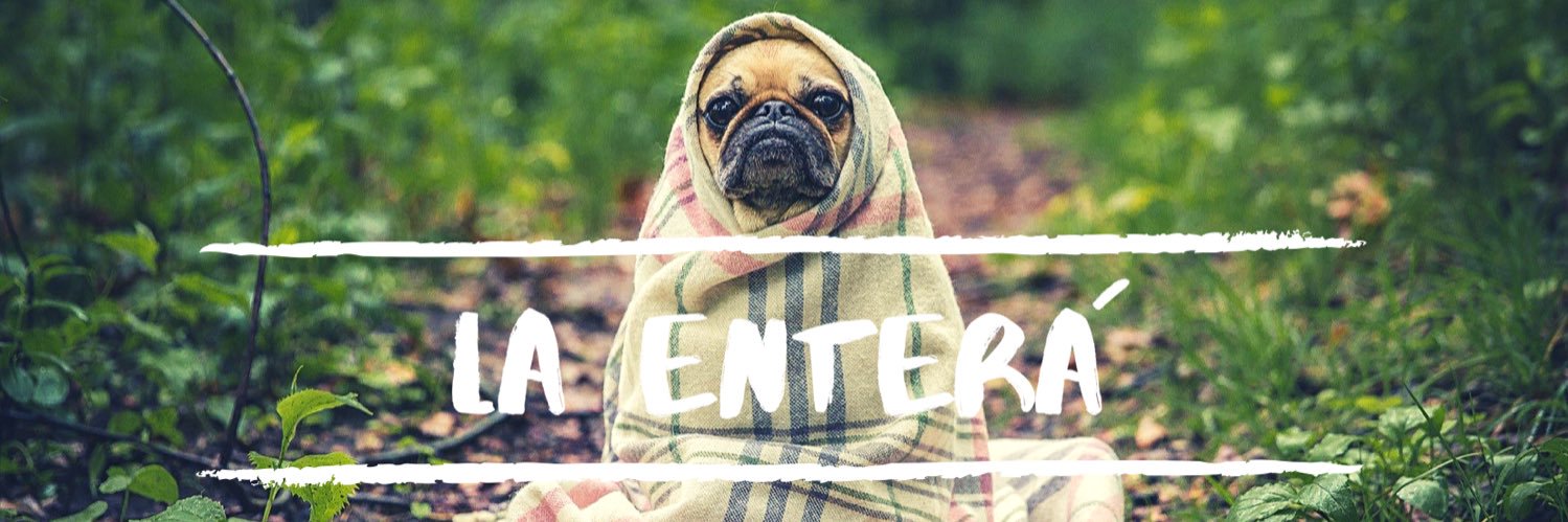 La Enterá. | ♀💜 banner