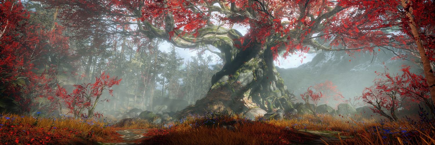 Kmikazemonkey's profile banner image