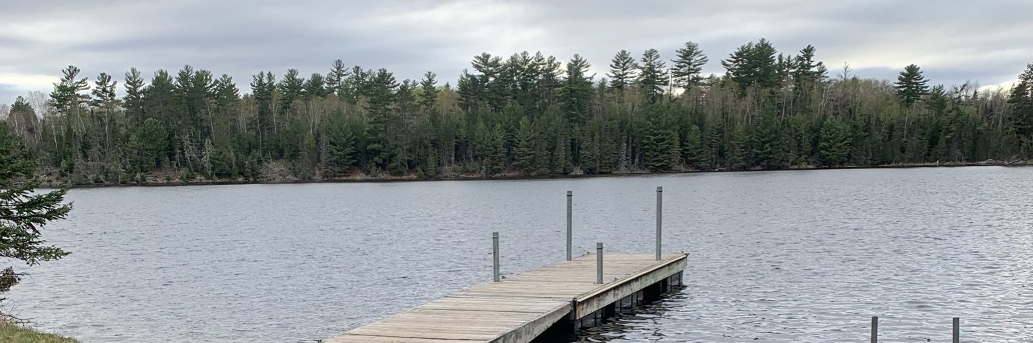 Michelle Stockness banner