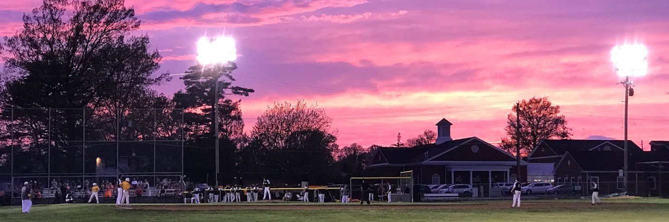 Anderson Raptors Baseball banner