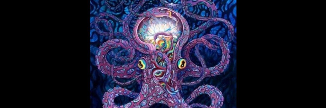 lcramer23's profile banner image