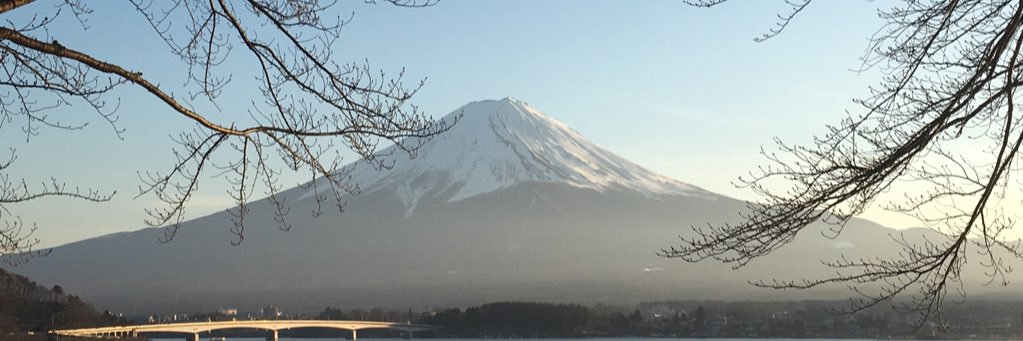 Wan_anu's profile banner image