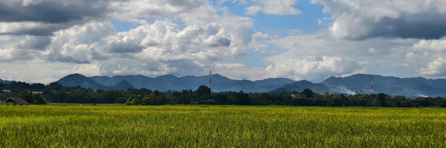 มะม่วง banner