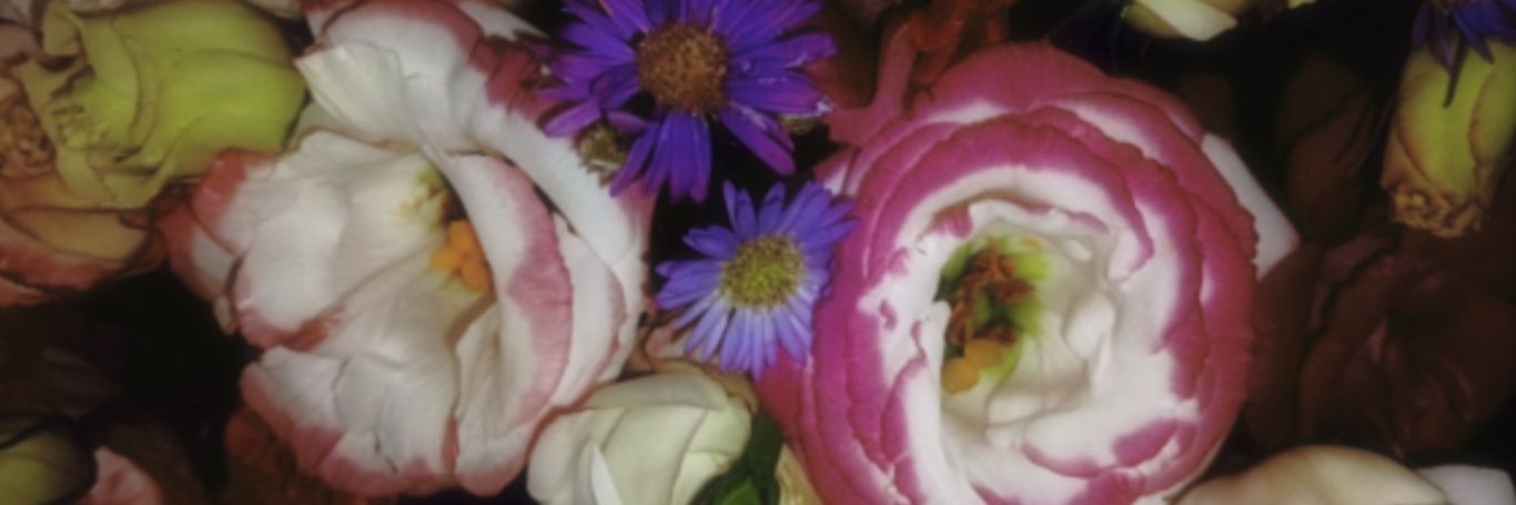 matchailatte_'s profile banner image