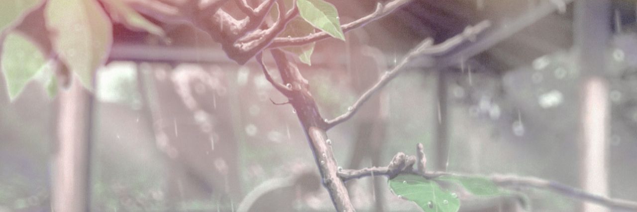 olympusdead's profile banner image