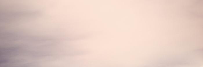 biomilkveronica's profile banner image