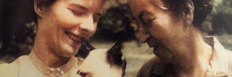 roxnoexiste's profile banner image