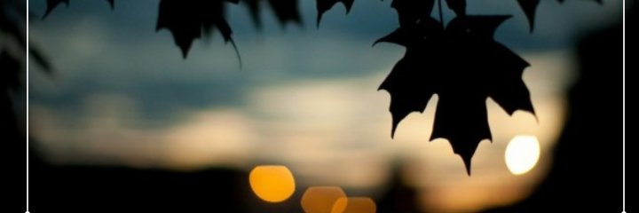 Nickol_G2's profile banner image