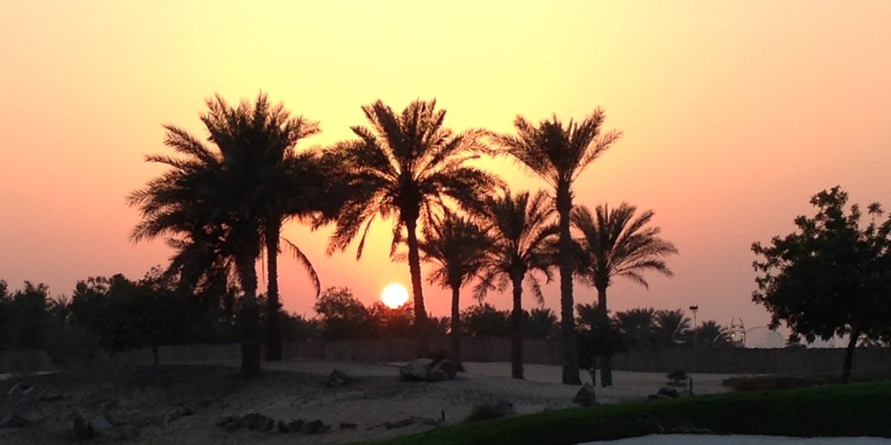 Jack Harrison banner