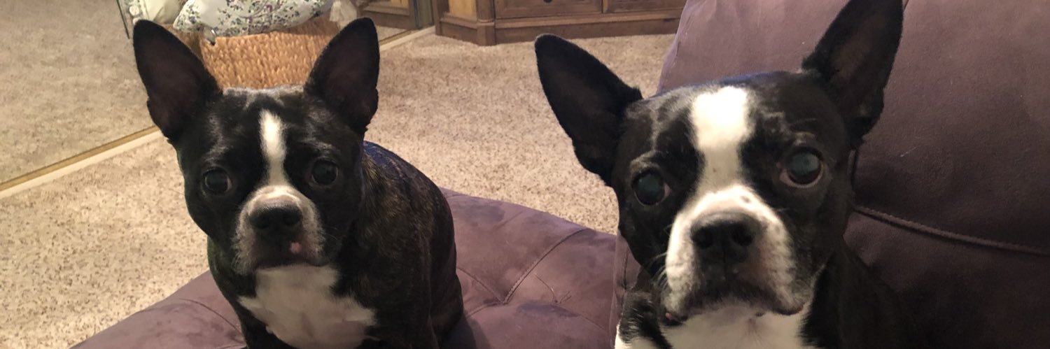 jenpayne76's profile banner image