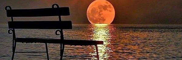 Mjustthat Profile Banner