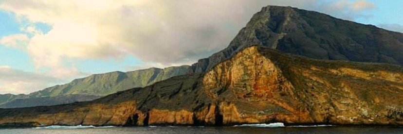 Dr. Lindsay Smith, DVM, MA banner