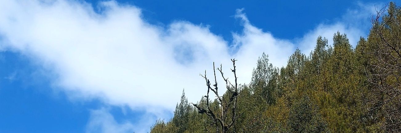 Asephutan's profile banner image