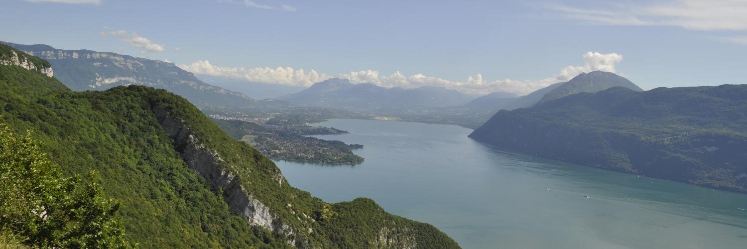 François Van Der Biest banner