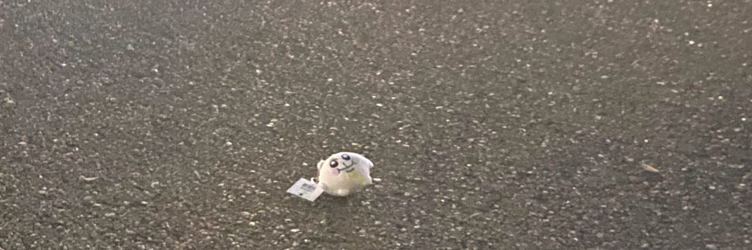 SHIONoxox's profile banner image