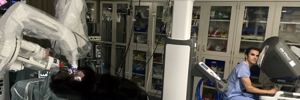 RicBertolo Profile Banner