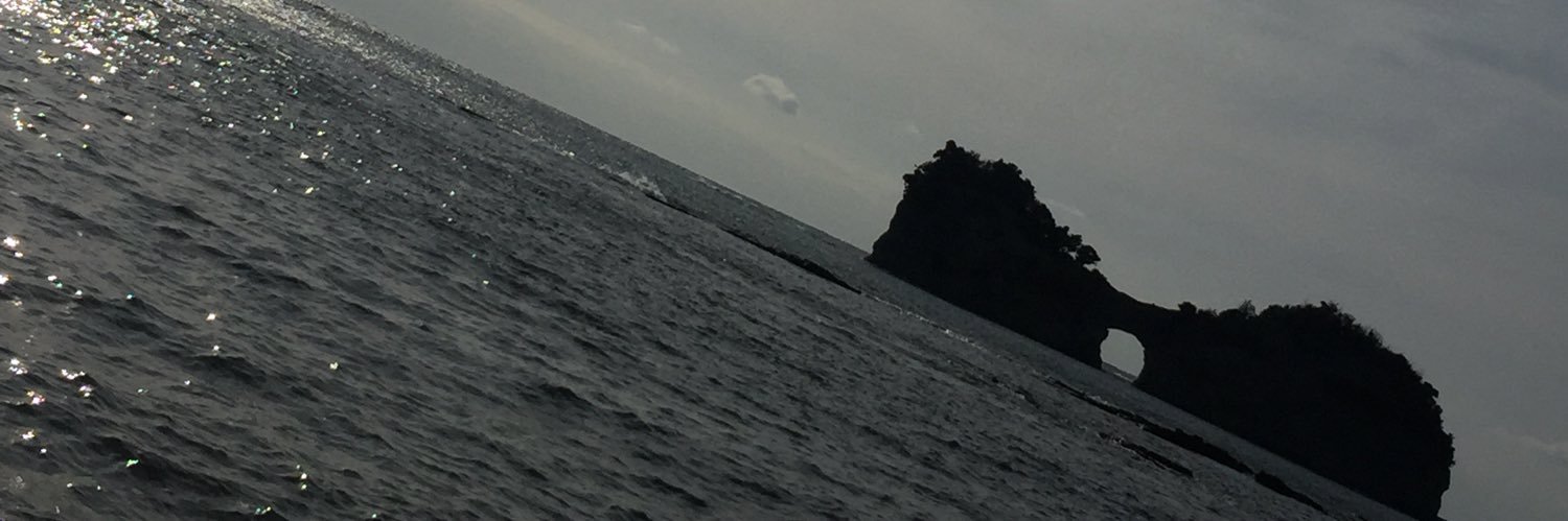 fish7yoshiki's profile banner image