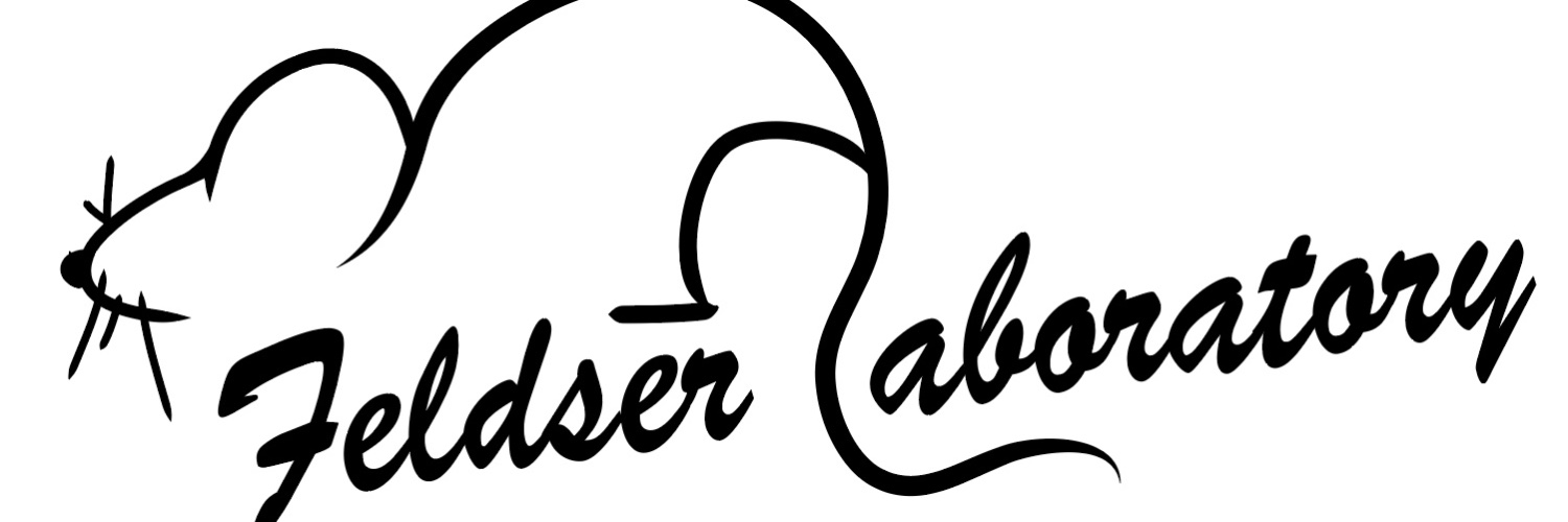 David Feldser banner