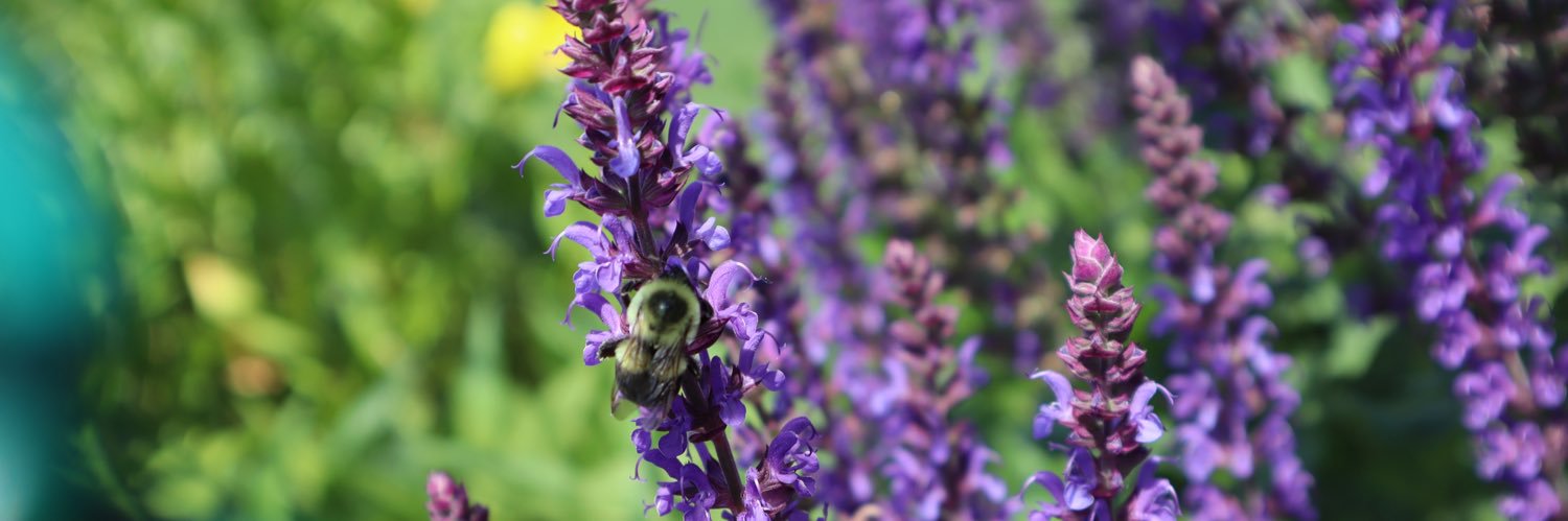 Indextore Demigod VTuber banner