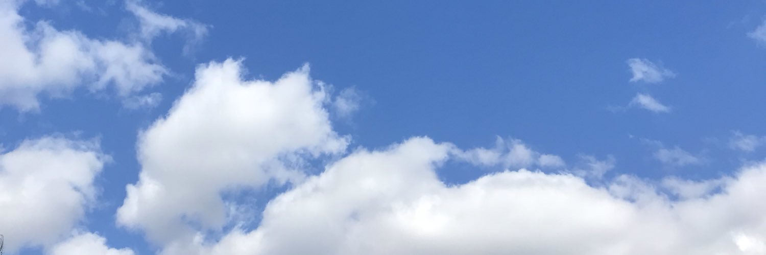 maddiefinklea's profile banner image
