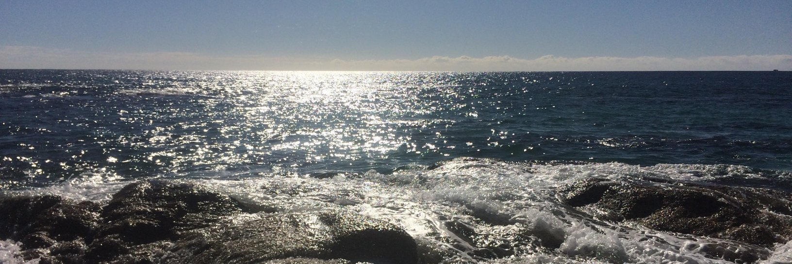 sandykerr_'s profile banner image