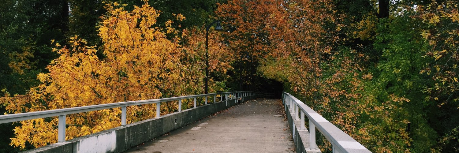 morganfinklea's profile banner image
