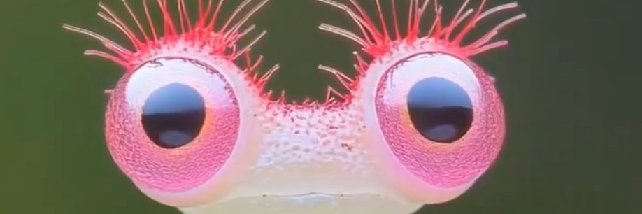 Knothead 🪢🪢🪢 banner