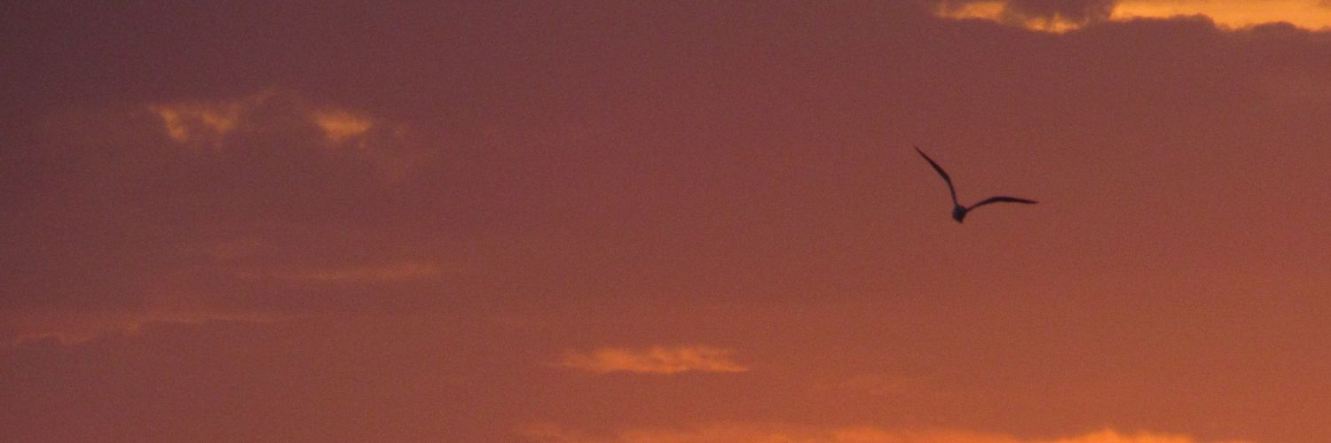 Gabrielabrc's profile banner image