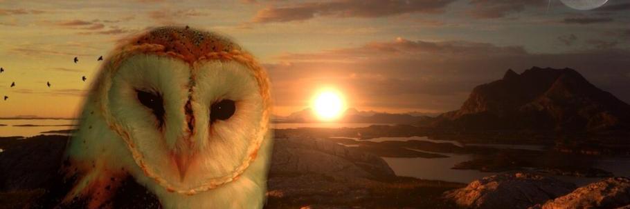 Ovidija's profile banner image