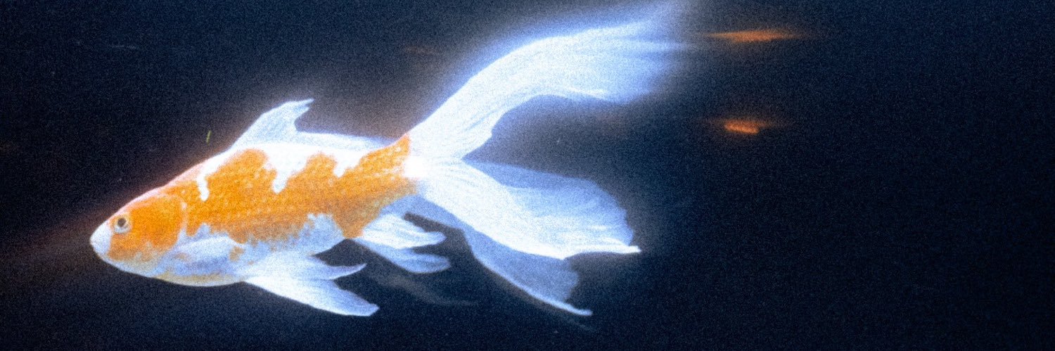 育実's banner
