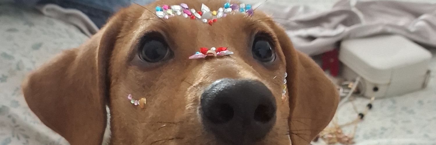 alencalada's profile banner image