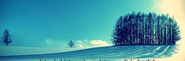 dog__lovers__'s profile banner image