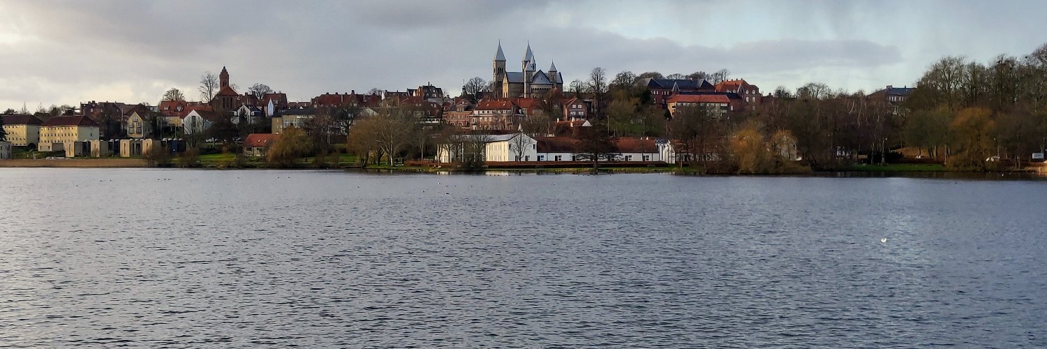 Coralia Manzanilla banner