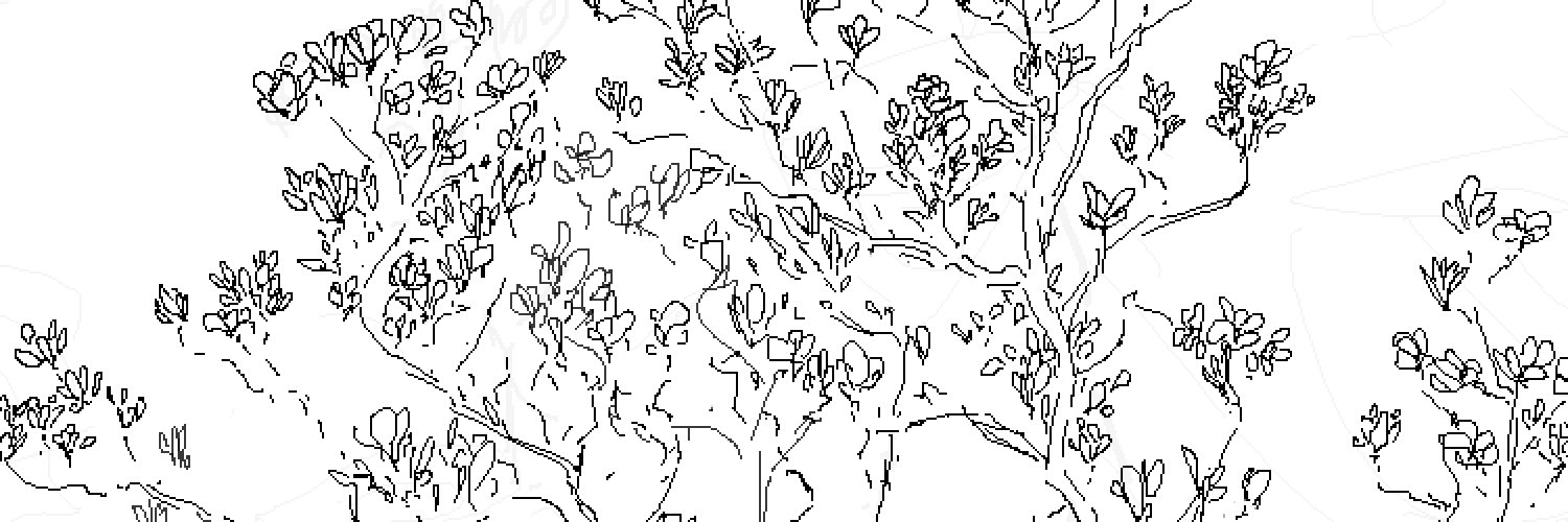 wintertime ttto banner