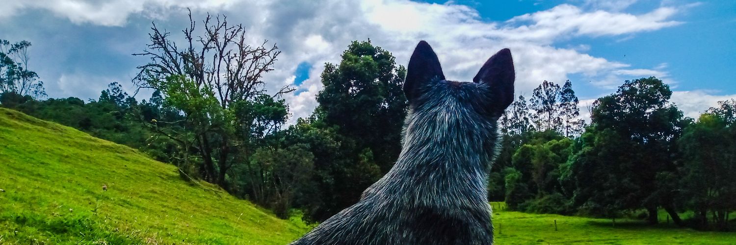 linaes28's profile banner image