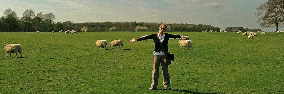 Lori Ringhand banner